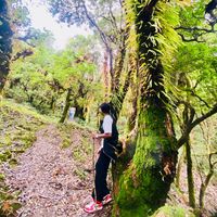mr_basnet75