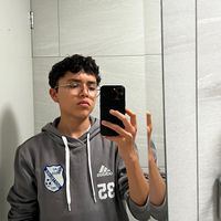 diegonesqui