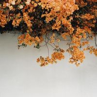 adri07083