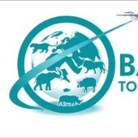 original sound - Balsons Tours🦁