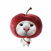 original sound - Palmy