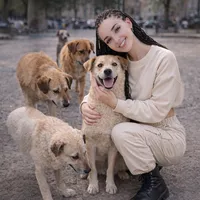 original sound - kedi__annesii