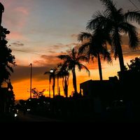 teresacanche64