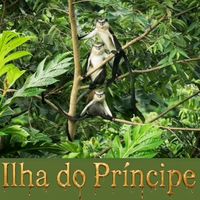 user8326021507061