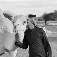 الصوت الأصلي