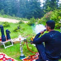 الصوت الأصلي