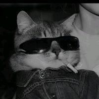 suara asli - ~Angga~