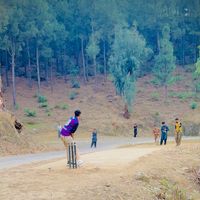 bandagai.kamrani