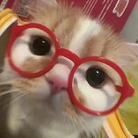오리지널 사운드 - 유빈