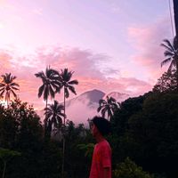 suara asli - Jojoooopokoknya