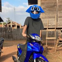 pao.ap8