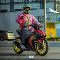 zea_heng11