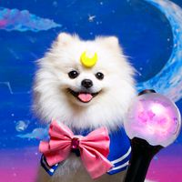 dduddu820
