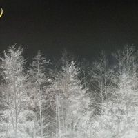 オリジナル楽曲 - hayu