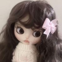 sonmixsl