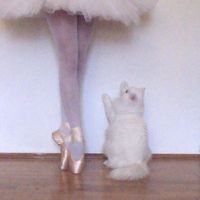 uhk.eveballet