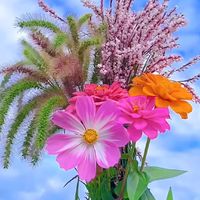 zun.flowers