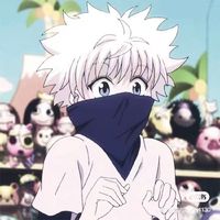 husa_1130