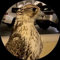 العويسي