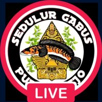 suara asli - Sedulur Gabus Purworejo