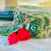 masumfouji0049