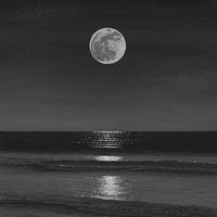 calm_and_silence