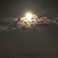 _hsxcl
