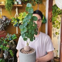 chuoigarden_plantdecor