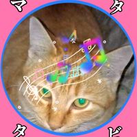 オリジナル楽曲