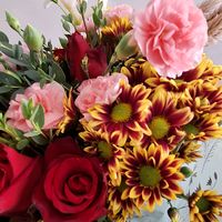 jaishe022224