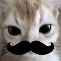 kgyyy43