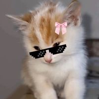 pratuuu_ch_
