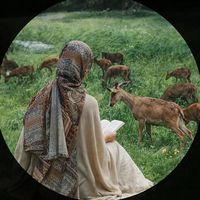 nouresam712