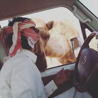 الصوت الأصلي
