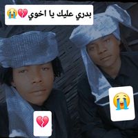 aliahmedmohamme46