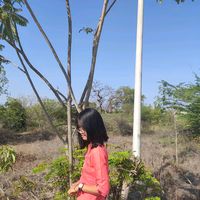 nyein752