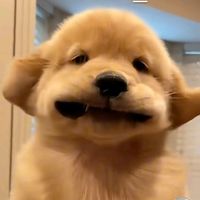 เสียงต้นฉบับ - ❄️mo🎶ชอบฟังเพลงเศร้า🎵