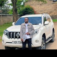 brevincars254