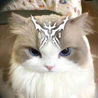 suara asli - Masbro ғт『HU』