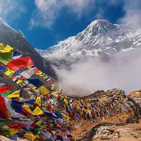 original sound - anzo8818
