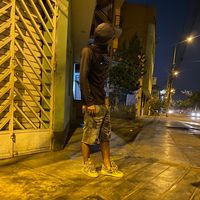 alee.zx.v