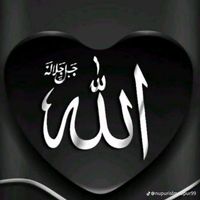 lepetitjunior00