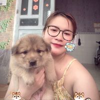 âm thanh gốc - Nguyễn thị Mỹ lý❤️