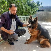 sami.tabaza