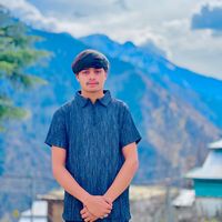 not_your_qais_