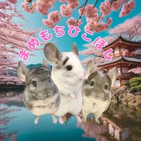 mame13_mochi13