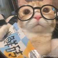 suara asli - Umar Abidzar