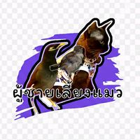 cat_bird2564