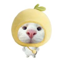 hiimchanh_
