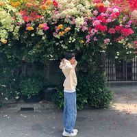 alaweexq_